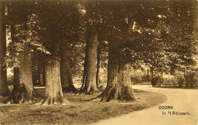 9370 Gezicht op een aantal loofbomen in het Sitiopark te Doorn.
